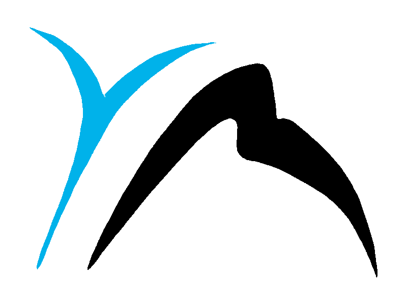 Logo de Yannis Mazzer